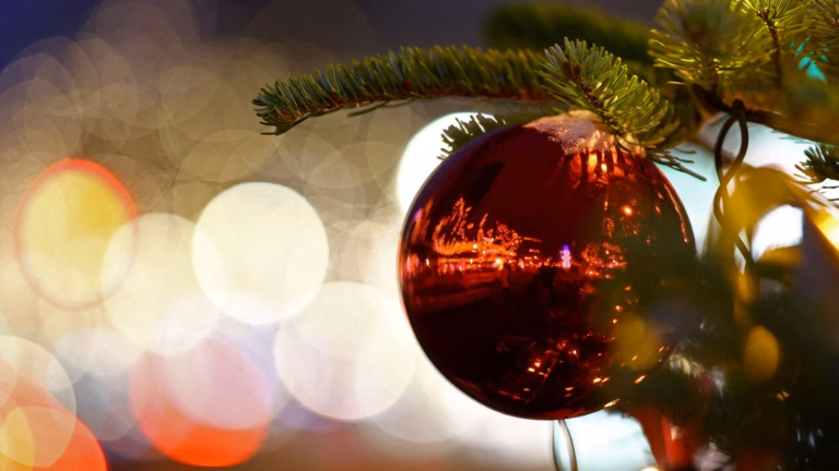 Four shot at Christmas tree lighting ceremony in the US