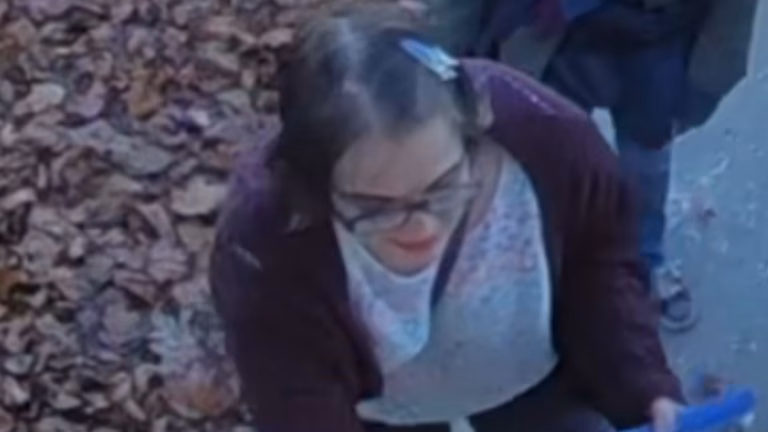 'Slender Man' stabbing attacker at large after cutting off monitoring bracelet