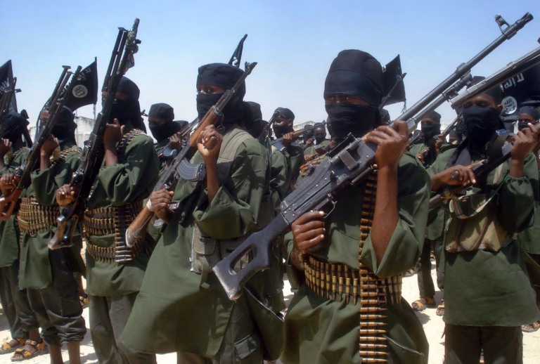 Somali terror group Al-Shabaab ‘taking a cut’ of millions in stolen Minnesota taxpayer money from welfare fraud scheme: report