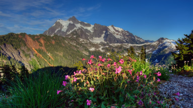 US national parks drop free admission on MLK Day and Juneteenth, but add Trump's birthday