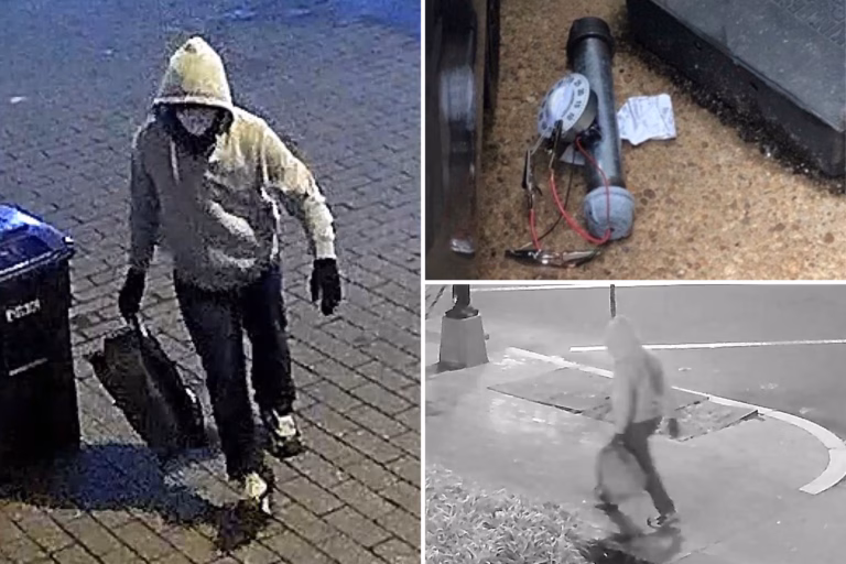 FBI makes arrest in Jan